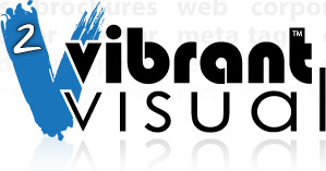 Orlando Web Design, Orlando Web Marketing, Orlando Logo Design - Vibrant Visual